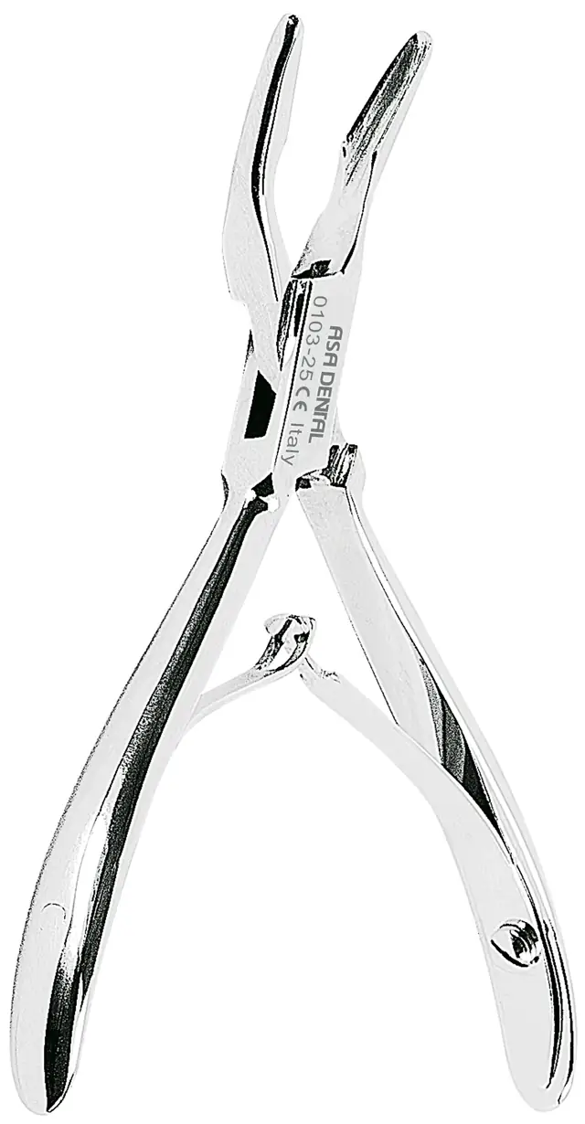 Periodontal AsaDental product category